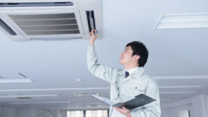 Domestic Electrical Inspection