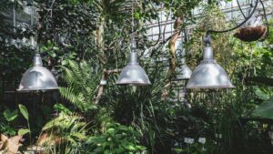 Summer Electrical Safety Tips for Gardens